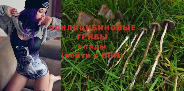 винт Наволоки