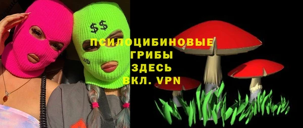 винт Наволоки