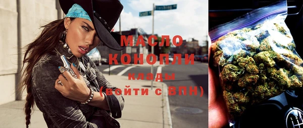 индика Михайловск