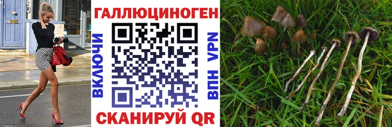 где найти наркотики  Сим  Псилоцибиновые грибы ЛСД 