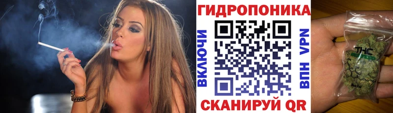mega ССЫЛКА  Сим  МАРИХУАНА сатива  где найти  